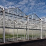 greenhouse large